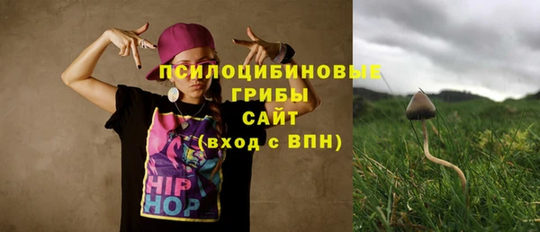 apvp Магас