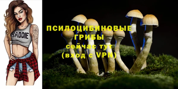 apvp Магас