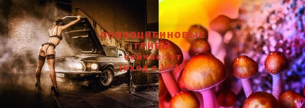 прущая мука Магадан