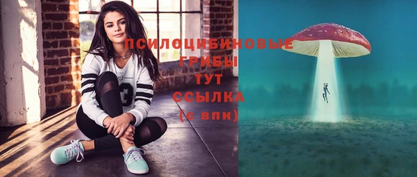 меф Майский