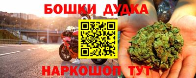 индика Аргун