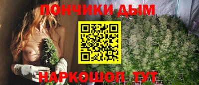 индика Аргун