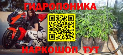 индика Аргун