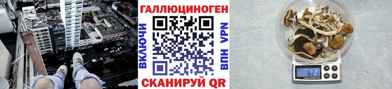 Галлюциногенные грибы MAGIC MUSHROOMS  кракен tor  Благодарный 